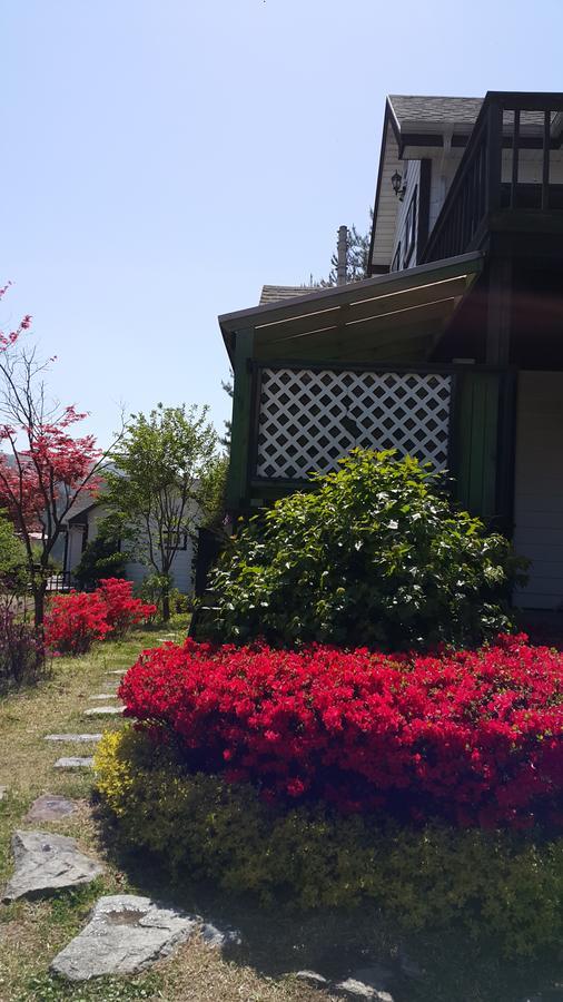 Dacha Pension Pyeongchang Luaran gambar